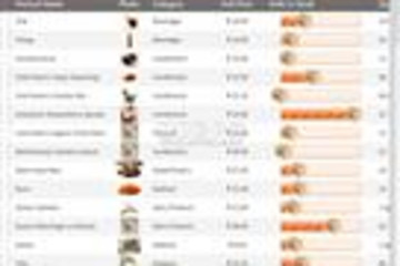 Xceed DataGrid for Silverlight预览：